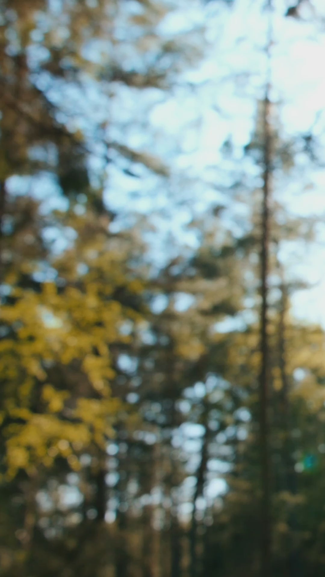 Blomman™ XL necklace